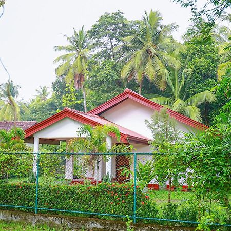 Villa Ravichini โปลอนนารูวา ภายนอก รูปภาพ