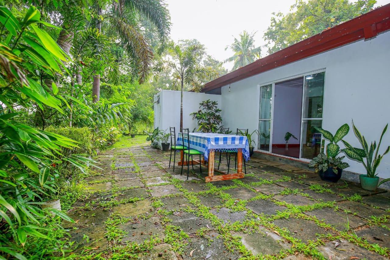 Villa Ravichini โปลอนนารูวา ภายนอก รูปภาพ