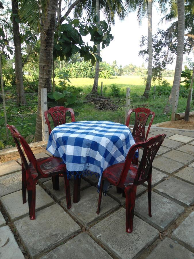 Villa Ravichini โปลอนนารูวา ภายนอก รูปภาพ