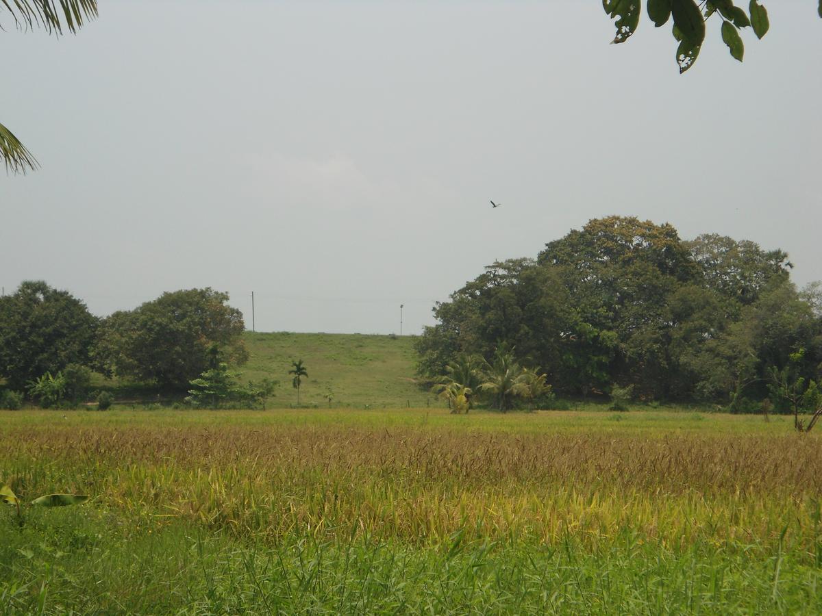 Villa Ravichini โปลอนนารูวา ภายนอก รูปภาพ